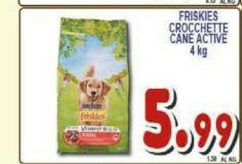 Gros Friskies Cibo per cani offerta