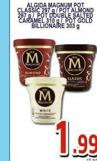 Gros Algida Magnum offerta
