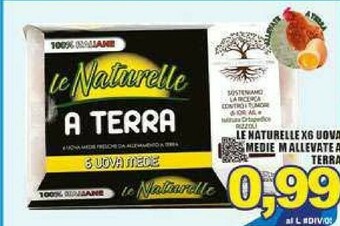 Gros Uova offerta