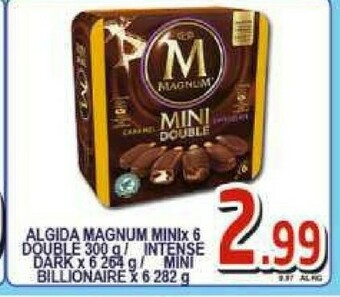 Gros Algida Magnum offerta