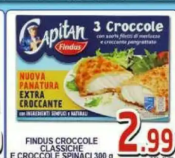 Gros Findus Pesce surgelato offerta