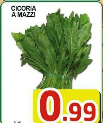 Gros Mazzi Verdure offerta