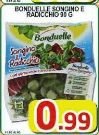 Gros Bonduelle Insalata offerta