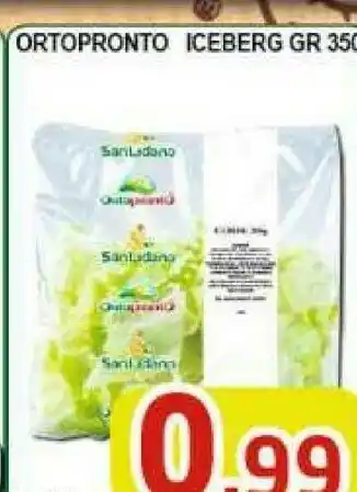 Ortopronto Insalata