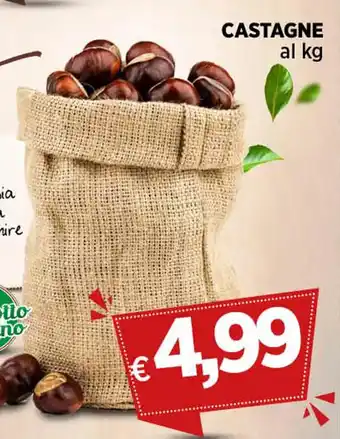 Coop CASTAGNE offerta