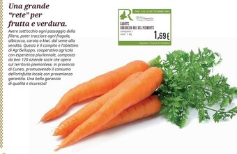 Conad Consorzio Ori Del Piemonte Carote offerta