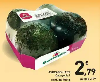 Conad Avocado Hass offerta