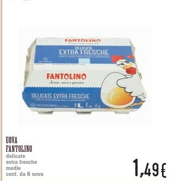 Conad Fantolino Uova Delicate Extra Fresche Medie offerta