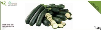 Conad Superstore Consorzio Ori Del Lazio Zucchine Lunghe Scure offerta