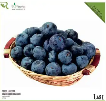Conad Consorzio ori del lazio Susine offerta