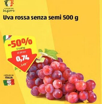 ALDI Uva Rossa Senza Semi 500 g offerta