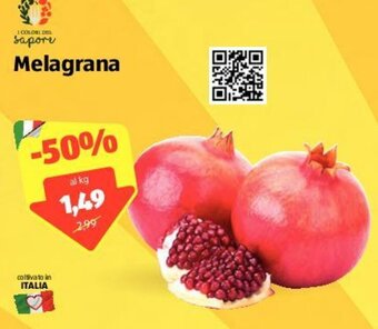 ALDI Melagrana offerta