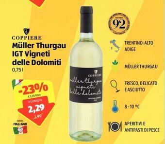 ALDI Coppiere Müller Thurgau IGT Vigneti Delle Dolomiti offerta