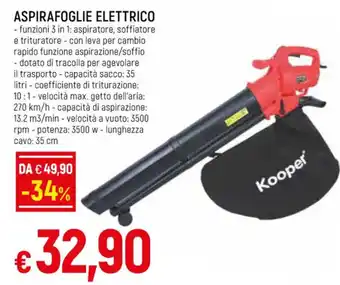 Famila Superstore ASPIRAFOGLIE ELETTRICO offerta