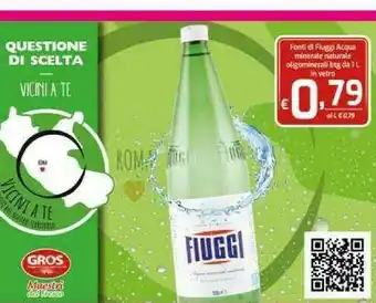 Gros Fiuggi Acqua Minerale Naturale Oligominerale offerta