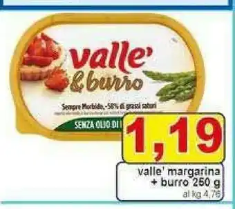 Gros Vallè Margarina & Burro 250 G(ml) offerta