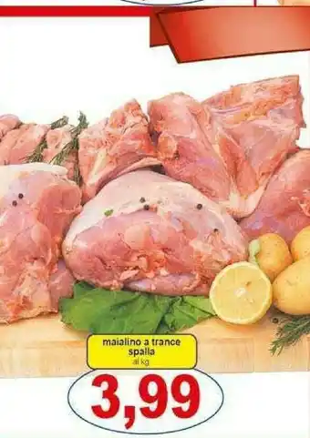 Gros Maialino A Trance Spalla offerta