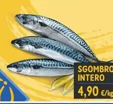 Sapore di Mare Sgombro intero offerta