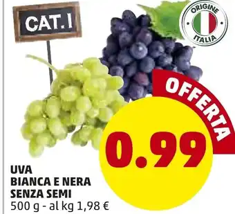 PENNY Uva Bianca e Nera Senza Semi 500 g offerta