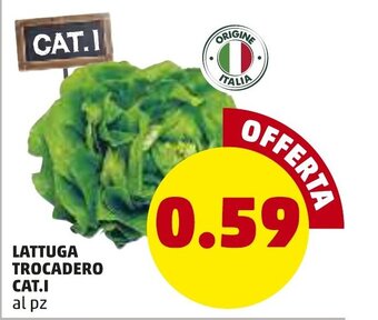 PENNY Lattuga Trocadero CAT.I offerta