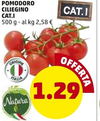 PENNY Pomodoro Ciliegino CAT.I 500 g offerta