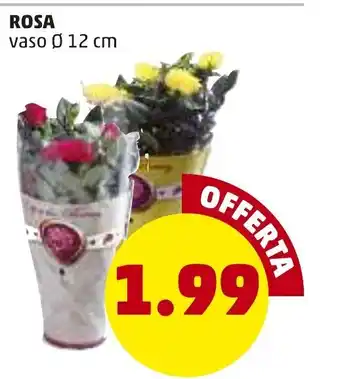 PENNY Rosa Vaso Ø 12 cm offerta