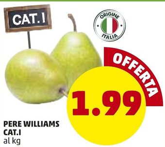 PENNY Pere Williams CAT.I offerta