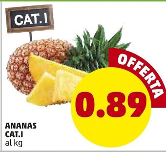 PENNY Ananas CAT.I offerta