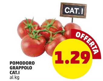 PENNY Pomodoro Grappolo CAT.I offerta
