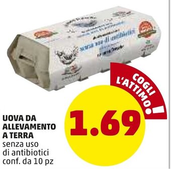 PENNY Uova Da Allevamento A Terra offerta