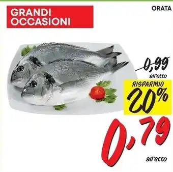 Pam Orata offerta