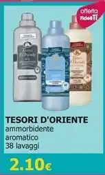Tigotà Tesori d’oriente ammorbidente aromatico offerta