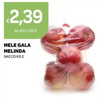 Ekom MELE GALA MELINDA SACCO KG 2 offerta