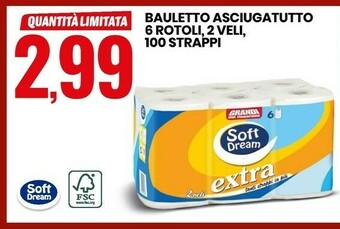 Eurospin Bauletto Asciugatutto 6 Rotoli, 2 Veli, 100 Strappi offerta