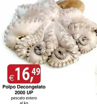 Docks Cash&Carry Polpo Decongelato 2000 Up offerta