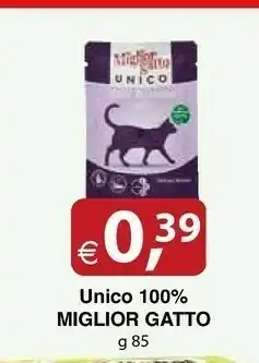 Miglior Gatto Unico 100%