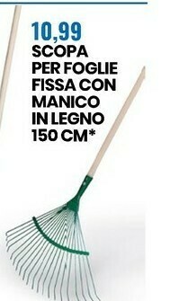 Eurospin Scopa Per Foglie Fissa Con Manico In Legno 150 Cm offerta