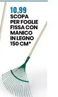 Eurospin Scopa Per Foglie Fissa Con Manico In Legno 150 Cm offerta