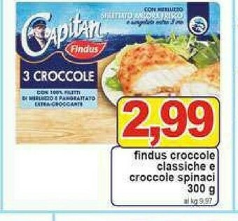 Gros Findus Croccole offerta