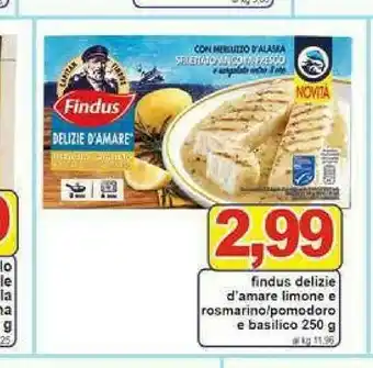 Gros Findus Delizie D'amare Limone E Rosmarino 250g offerta