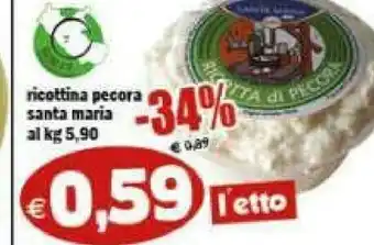 Gros Santa maria Ricottina Pecora offerta
