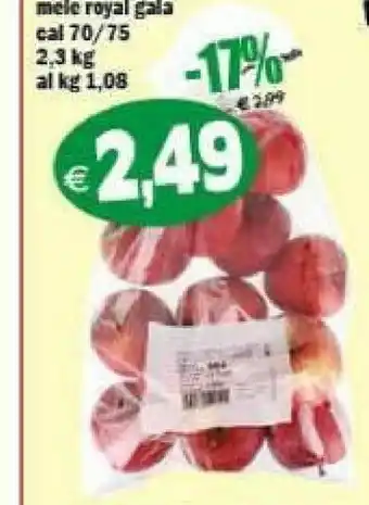 Il Castoro Supermercati Royal Mele Gala offerta