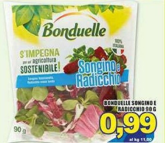 Gros Bonduelle Insalata offerta