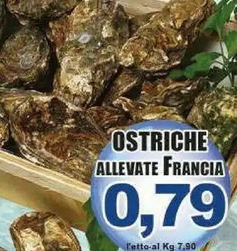 Gros Frutti di mare offerta