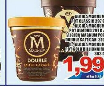 Gros Algida Magnum offerta
