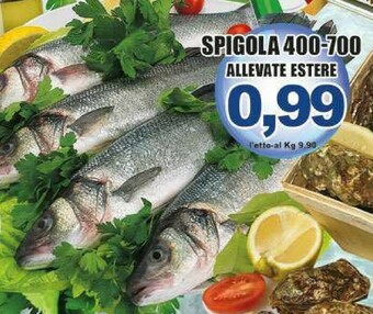 Gros Pesce offerta