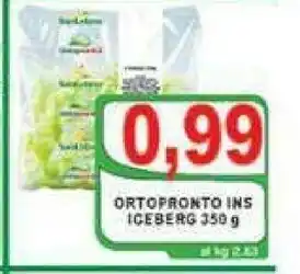Gros Ortopronto Ins Iceberg offerta