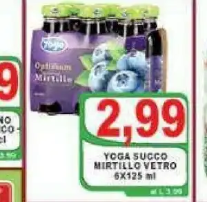 Gros Yoga Succo Mirtillo Vetro offerta