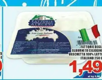 Sacoph Fattorie degli alburni Provola offerta