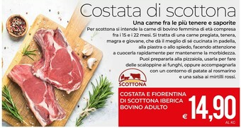 MD Discount Carne offerta